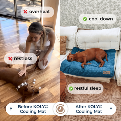 KOLY© Cooling Mat