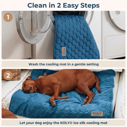 KOLY© Cooling Mat