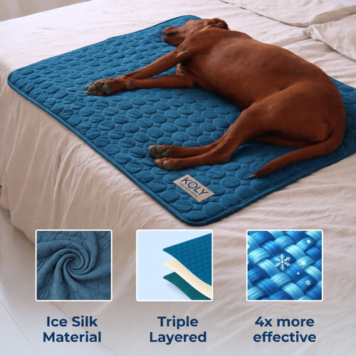 KOLY© Cooling Mat