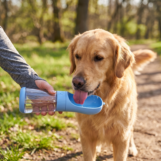 KOLY© Portable Water Bottle
