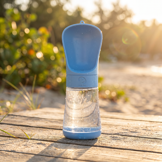 KOLY© Portable Water Bottle