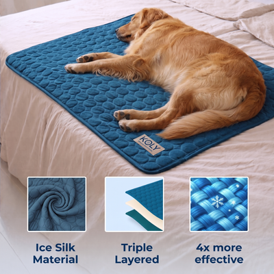 KOLY© Cooling Mat