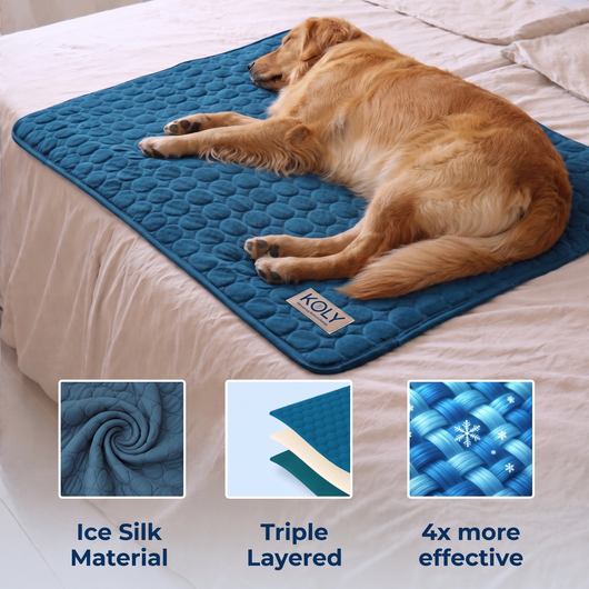 KOLY© Cooling Mat