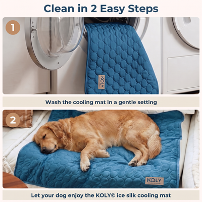 KOLY© Cooling Mat