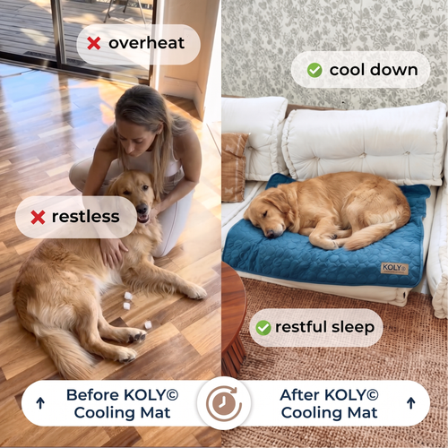 KOLY© Cooling Mat
